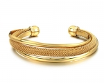 Titanium Stainless Steel Bracelet Bangle18Kt Gold Plated, BIW03238MY