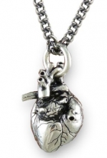 Anatomical 3d Human Heart Antique Silver Necklace Gothic 32 Chain