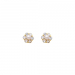 14K Yellow Gold White Flower CZ & Pearl Stud Earrings with Screw-back for Baby and Children