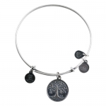 Alex and Ani Bangles - Silver Expandable Bangle Bracelet with Tree of Life Charm - These Bracelets Are Part of the Alex and Ani Jewelry Collection - Handmade and of Very High Quality - Great Gift Ideas for Most Women, Mom or Girlfriend