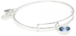 Alex and Ani Bangle Bar March Birthstone Shiny-Silver Expandable Bracelet