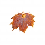 Iridescent Copper Plated Real Sugar Maple Leaf Pendant