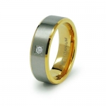 Tioneer Titanium 18K Gold Plated Wedding Ring - Size 6