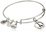 Alex and Ani Bangle Bar World Peace Rafaelian Silver Finish Expandable Bracelet