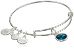 Alex and Ani Bangle Bar December Birthstone Shiny-Silver Expandable Bracelet