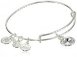 Alex and Ani Bangle Bar April Birthstone Shiny-Silver Expandable Bracelet