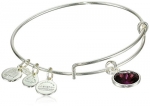 Alex and Ani Bangle Bar February Birthstone Shiny-Silver Expandable Bracelet