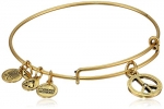 Alex and Ani Bangle Bar World Peace Rafaelian Gold Finish Expandable Bracelet