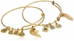 Alex and Ani Charity by Design Best Friends Rafaelian Gold Finish Bangle Bracelet, Set of 2