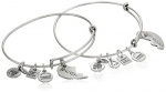 Alex and Ani Charity by Design Best Friends Rafaelian Silver Finish Bangle Bracelet, Set of 2