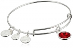 Alex and Ani Bangle Bar July Birthstone Shiny-Silver Expandable Bracelet