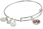 Alex and Ani Bangle Bar June Birthstone Shiny-Silver Expandable Bracelet