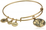 Alex and Ani Because I Love You Sister Expandable Rafaelian Gold Finish Wire Bangle Bracelet