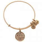 Disney Parks Alex and Ani Frozen Anna Elsa Gold Bracelet