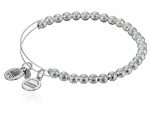 Alex and Ani Bangle Bar Euphrates Shiny-Silver Expandable Bracelet