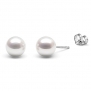 AAA 7.5-8.0mm White Round Cultured Freshwater Pearl Stud Earrings (Solid Sterling Silver)