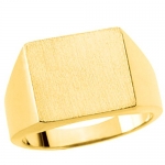 Mens 10k Yellow Gold Flat Signet Ring, Size 10.75