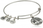 Alex and Ani Bangle Bar Tree of Life Rafaelian Silver Finish Expandable Bracelet