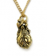 Anatomical Heart Necklace 3d Heart Pendant Antique Finish Gold Plated Over Stainless Steel Unisex