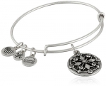 Alex and Ani Compass II EWB Rafaelian Silver Bangle Bracelet