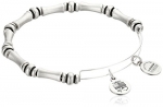 Alex and Ani Bangle Bar Rafaelian Silver Finish Bamboo Expandable Bracelet