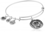 Alex and Ani Cladding II EWB Rafaelian Silver Bangle Bracelet