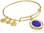 Alex and Ani Aquarius Constellation Expandable Yellow Gold Bangle Bracelet