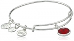 Alex and Ani Bangle Bar January Birthstone Shiny-Silver Expandable Bracelet