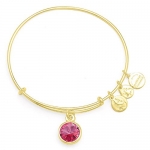 Alex and Ani October Birthstone Charm Bangle Yellow Gold Finish Bracelet, A09EB249G