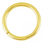 14K Yellow Gold Segment Ring Nose Hoop Tragus Cartilage Earring 18G 1/4