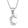 S925 Sterling Silver Cubic Zirconia 26 Letters Alphabet Personalized Charm Pendant Necklace (Alphabet C)